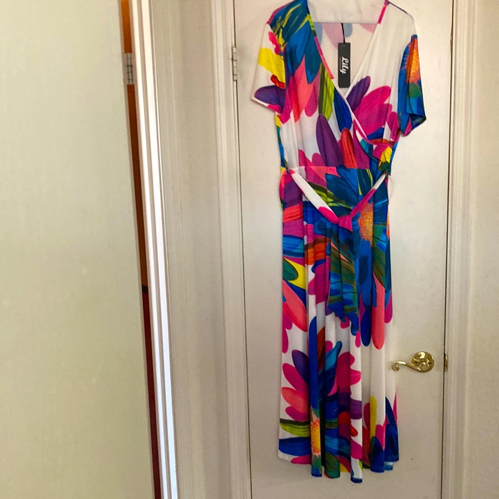 Beautiful faux wrap dress.